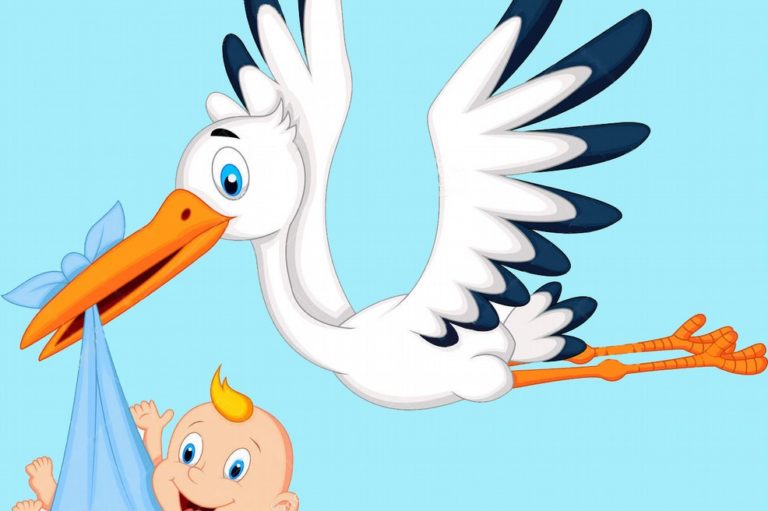 CICOGNA IN CASA VIRTUS LIBERA FORIO