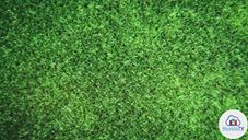 27/10/2018 ISCHIA PALLAVOLO VS POTENZA