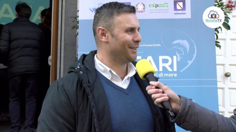 ISCHIA SEAFARI 2018 GUARDA IL VIDEO