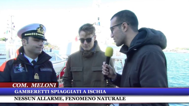 GAMBERETTI SPIAGGIATI A ISCHIA: