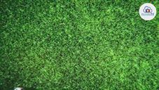 30/03/2019 VIRTUS LIBERA FORIO VS FRATTESE