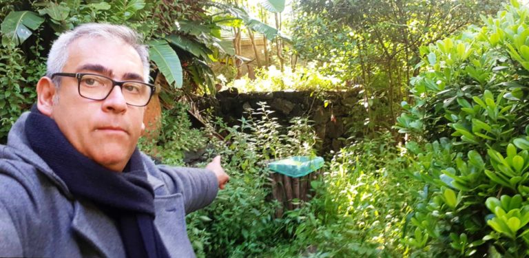 GENNARO SAVIO: “AMMINISTRAZIONE ZOZZONA, ERBACCE E PIANTE SELVATICHE NELLA PINETA NENZI BOZZI”