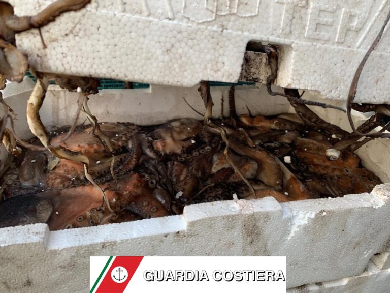 TUTELA DEI CONSUMATORI – LA GUARDIA COSTIERA SEQUESTRA 500KG DI PESCE IN CATTIVO STATO DI CONSERVAZIONE