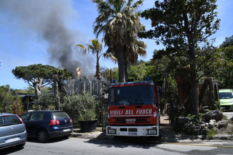 FIAMME A FIAIANO: PRENDE FUOCO IL CAPANNONE DEL VIVAIO GUARRACINO
