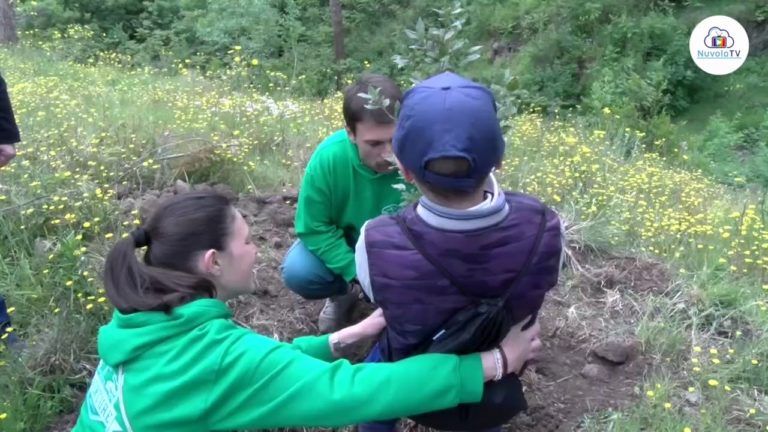 FESTA DELL’ ALBERO, GAUDIOSO: “VOGLIAMO SALVARE LA PINETA DI FIAIANO”