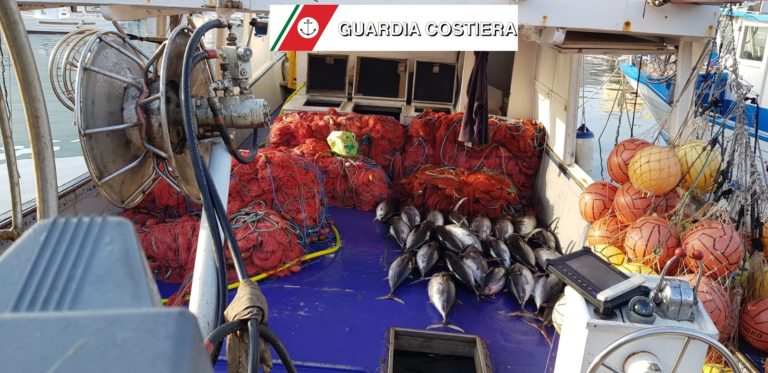 GUARDIA COSTIERA ISCHIA: SEQUESTRATA RETE DA PESCA   ILLEGALE LUNGA OLTRE 2 KM