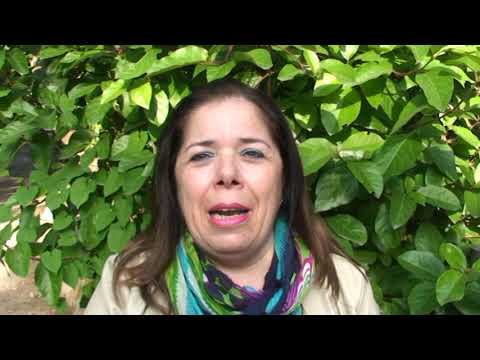 PROGETTO SCUOLA IN CANTO, AL SAN CARLO UN SUCCESSO PER GLI ALUNNI DELL’ICS “V. MENNELLA”