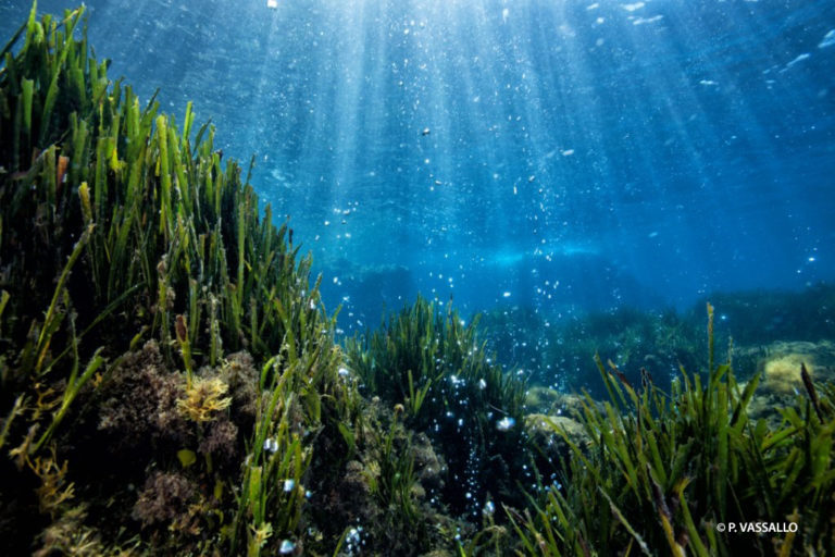 “UN TUFFO NEL MARE CHE CAMBIA”, A ISCHIA IL SEMINARIO PUBBLICO SU CLIMA E MARE