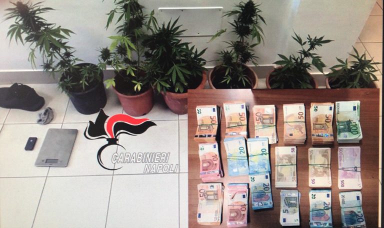 DUE PROCIDANI DENUNCIATI PER DETENZIONE DI STUPEFACENTI  A FINI DI SPACCIO