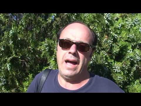 UN MURALE PER FRANCESCO TALIERCIO, GLI ARTISTI DI ”ISCHIA STREET ART” PRONTI A DIPINGERE IL RITRATTO DELLA GIOVANE VITTIMA