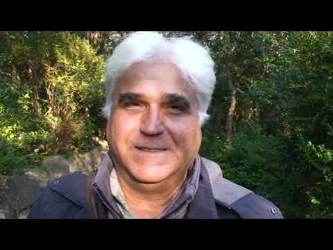 HIP – HOP: BELLISSIMA ESPERIENZA PER LA BODY BALLET DANCE A RICCIONE