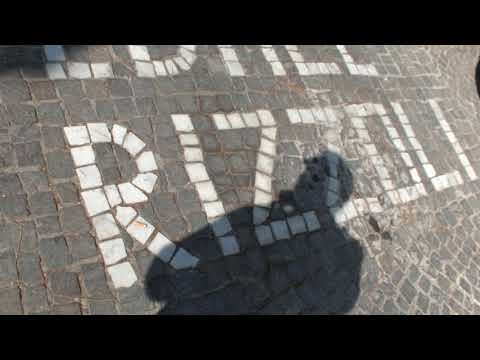 LAVORI IN CORSO AL RIZZOLI, DISAGI E POLEMICHE