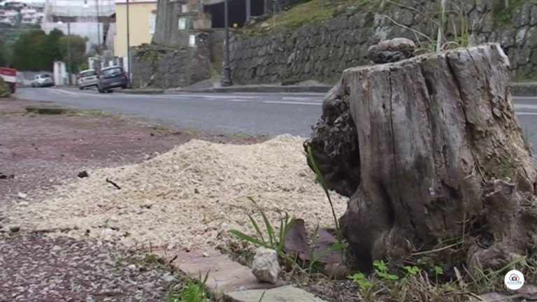 FRANCESCO PIRO INVESTE E UCCIDE ANGELO SCACCINO: ENNESIMA TRAGEDIA A ISCHIA