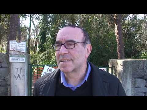 GIU’ LE MANI DALLA PINETA DEGLI ATLETI, ISCHIA SI RIBELLA ALLO SCEMPIO AMBIENTALE DELLA PISTA CICLABILE!