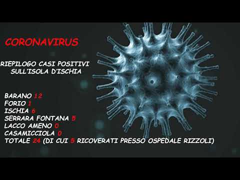 SULL’ISOLA D’ISCHIA 24 CASI POSITIVI AL COVID 19: TENSIONE PER I RITARDI NELLE ANALISI DEI TAMPONI E NEL FRATTEMPO NON MANCANO LE FAKE NEWS