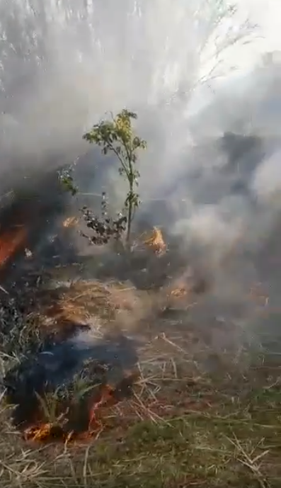 ISCHIA, INCENDIO SULLA COLLINA DI CAMPAGNANO