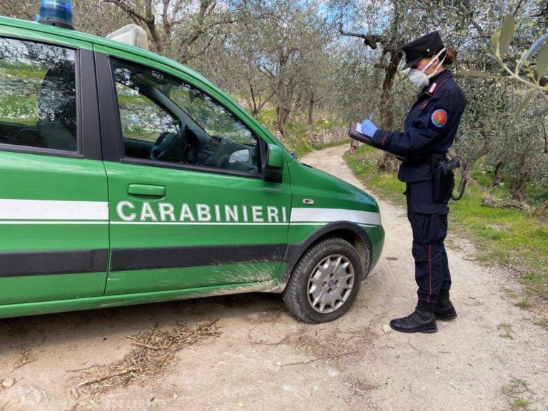ISCHIA: BRUCIA RIFIUTI MA PERDE IL CONTROLLO DELLE FIAMME, OLTRE UN ETTARO DI MACCHIA DISTRUTTO. DENUNCIATO DAI CARABINIERI
