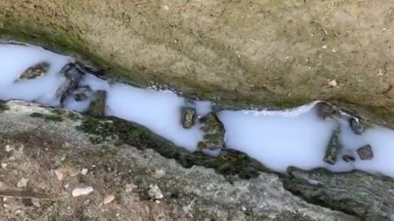 TUTELA AMBIENTALE: INTERVENTO DELLA GUARDIA COSTIERA PRESSO LA SPIAGGIA DI CAVA DELL’ISOLA