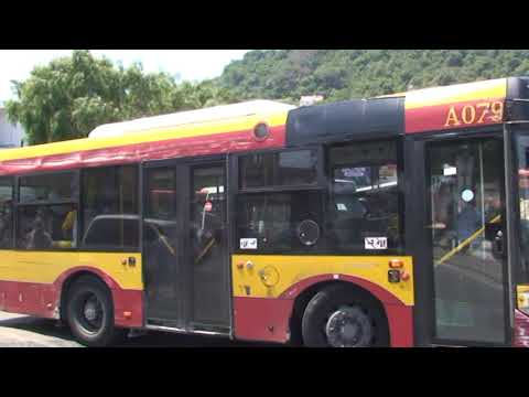 I SINDACATI DELL’EAV BUS DENUNCIANO: “A ISCHIA SUI PULLMAN SI VIAGGIA GRATIS PER LA PARZIALE O TOTALE MANCANZA DI OBLITERATRICI”