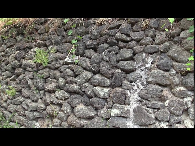 GENNARO SAVIO DENUNCIA: “A ISCHIA VIA CAMPAGNANO ABBANDONATA TRA SPORCIZIA E PERICOLI”