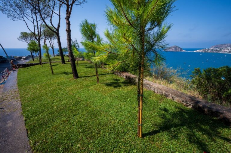 DUE “GOCCE” DI VERDE PER IL BLU DEI MARONTI