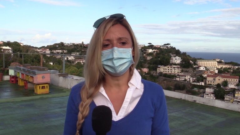 A ISCHIA LA VESPA ORIENTALIS STA DISTRUGGENDO INTERI ALVEARI DI API