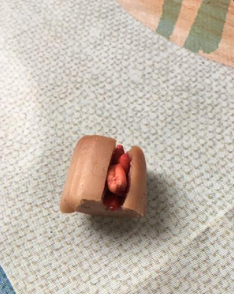 PERICOLO BOCCONI AVVELENATI IN ZONA PINETA FIAIANO