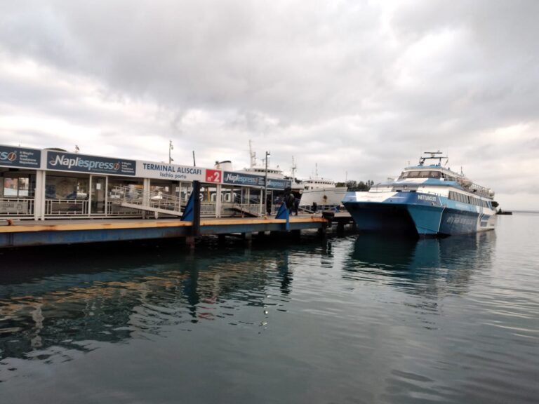 GENNARO SAVIO: “RITORNA VALIDO L’ABBONAMENTO GRATUITO ‘UNICO CAMPANIA’ PER GLI STUDENTI CHE VIAGGIANO IN ALISCAFO”