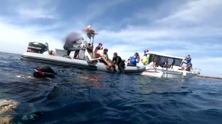 REGNO DI NETTUNO, LIBERATE DUE CARETTA CARETTA: LA TARTARUGA LILIANA PRESTO DEPORRA’ LE UOVA