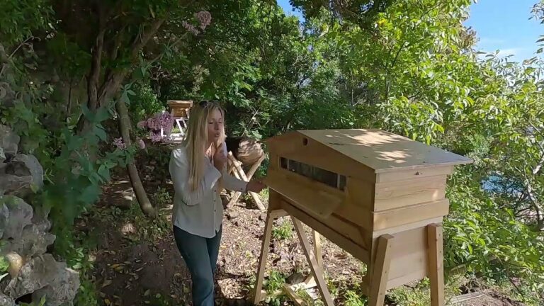 OGGI RICORRE LA GIORNATA MONDIALE DELLE API,  RAFFAELLA SCOTTI: “TUTELIAMO QUELLO CHE E’ UNO DEGLI ESSERI VIVENTI PIÙ IMPORTANTI PER LA DIFESA DELL’ECO SISTEMA DEL NOSTRO PIANETA”