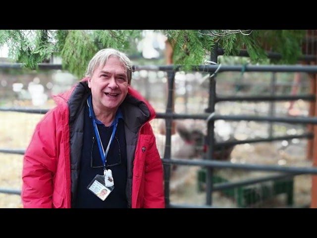 A “NUVOLA TV” LA TRAGICA STORIA DEL COMANDANTE ANGELO CAPURRO MORTO DI CORONAVIRUS A BORDO E IL CUI CORPO NON VIENE RIMPATRIATO DA JAKARTA DA DUE MESI, PER LA PRIMA VOLTA PARLA IL FIGLIO: “QUELLO CHE E’ SUCCESSO A MIO PADRE NON ACCADA PIU’ A NESSUN MARITTIMO”