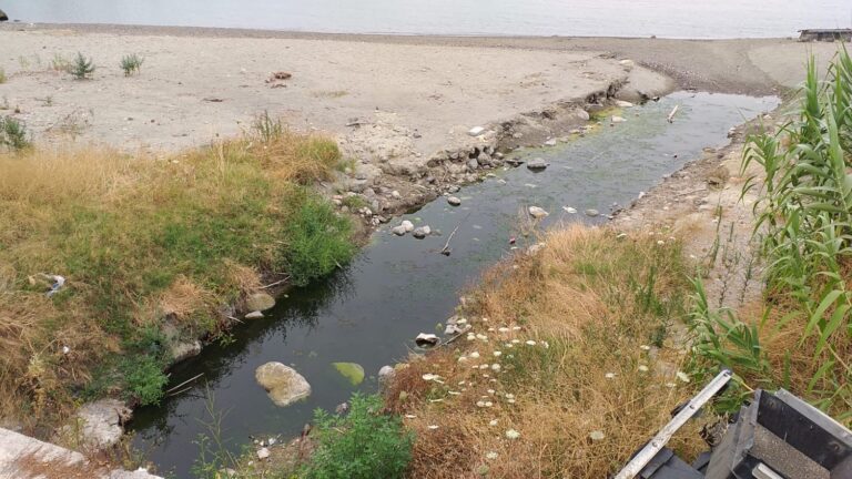 CASAMICCIOLA – DOPO LE SEGNALAZIONI AL VIA LA DERATTIZZAZIONE DI STRADE E RIONI COMUNALI