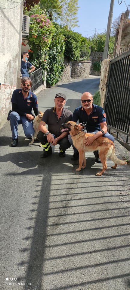 BARANO – DUE CANI SALVATI DA MALTRATTAMENTO