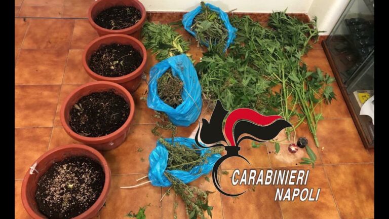 LAVORO NERO E DROGA, DOPPIO BLITZ DEI CARABINIERI DI ISCHIA: SANZIONATE QUATTRO ATTIVITA’ TRA FORIO E ISCHIA E UN 48ENNE DEL POSTO FINISCE IN MANETTE PER SPACCIO