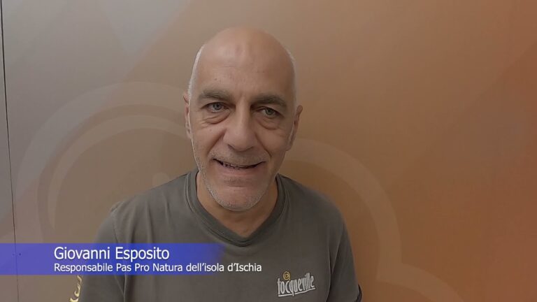 RANDAGISMO E LATITANZA DELLE ISTITUZIONI PREPOSTE, SULL’ISOLA D’ISCHIA GLI AMICI A QUATTRO ZAMPE VENGONO PRESI IN CONSIDERAZIONE SOLO DAI VOLONTARI