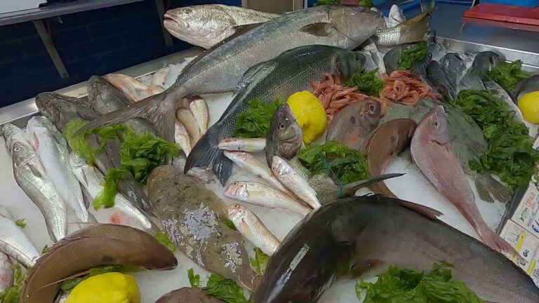 LA PESCHERIA “U PARANZIELL” DI FORIO RICONOSCIUTA QUALE ECCELLENZA ITALIANA PER IL MERCATO ITTICO 2021/2022, SANDRO MORGERA: “E’ UN RICONOSCIMENTO CHE CI RIPAGA DEI SACRIFICI CHE QUOTIDIANAMENTE FACCIAMO DA ANNI”