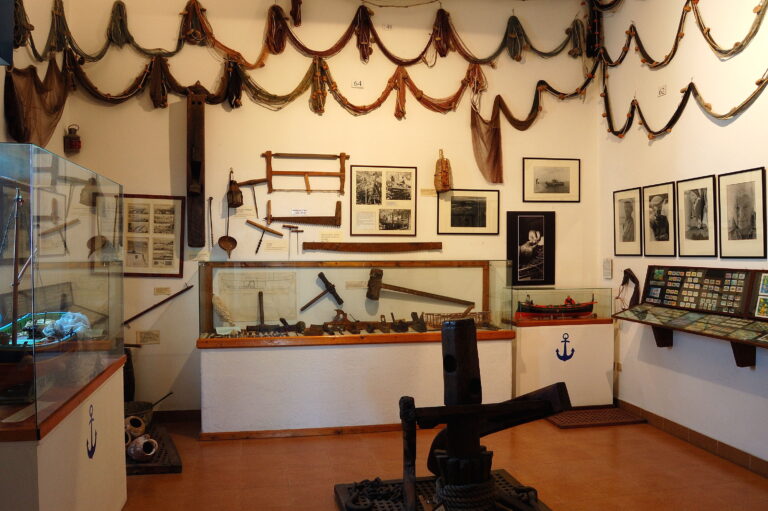 ODETTE DEL DOTTO NUOVO PRESIDENTE DEL MUSEO DEL MARE