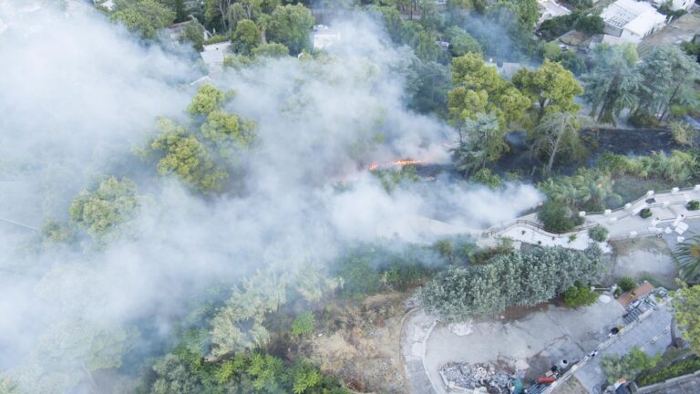 ANCORA FIAMME SULL’ISOLA: A FUOCO LA PINETA DI FIAIANO