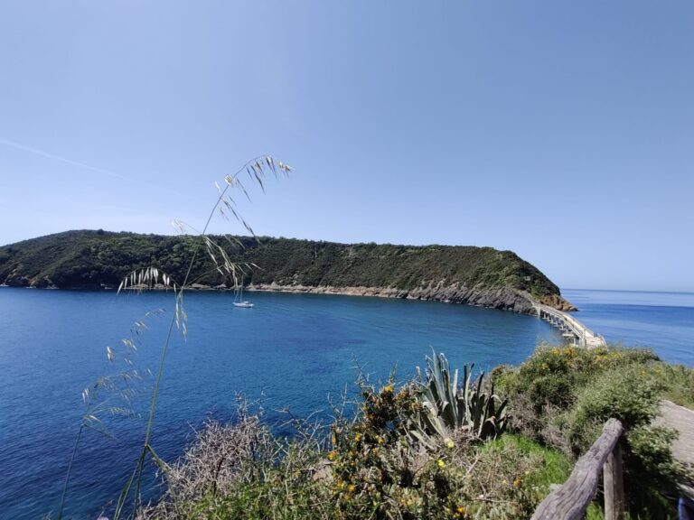 VIVARA “SOTTO CONTROLLO”: ACCORDO TRA REGNO DI NETTUNO E RISERVA NATURALE