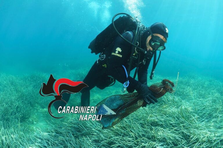 PESCA DI FRODO, TRE SUB DENUNCIATI E 17 SANZIONI