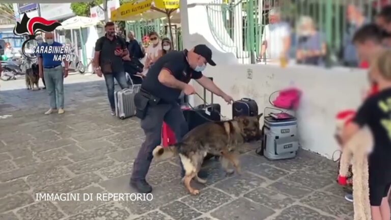 L’ISOLA AL SETACCIO. WEEKEND DI CONTROLLI PER CARABINIERI E GUARDIA COSTIERA: AFFITTANZE, SICUREZZA, DROGA, CONTROLLI IN MARE.