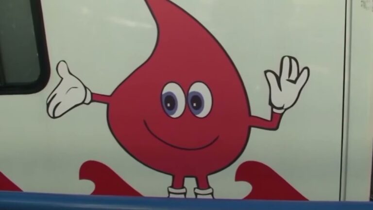 DOMENICA 8 AGOSTO AD ISCHIA LE PRIME ANALISI PER LA DONAZIONE DEL MIDOLLO, SI POTRA’ ANCHE DONARE IL SANGUE