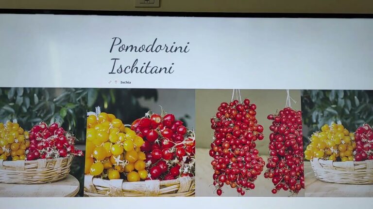 AD ISCHIA LA TECNOLOGIA BLOCKCHAIN ENTRA NEL MONDO DEL PESCATO E DELLA RISTORANZIONE, E’ LA PRIMA SPERIMENTAZIONE AL MONDO: COSI’ I COMMENSALI SCOPRONO TUTTE LE ORIGINI DEI PRODOTTI DEL PIATTO CHE MANGIANO