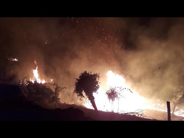 “STOP INCENDI A ISCHIA”, SILVANO ARCAMONE LANCIA LA RACCOLTA FIRME PER SENSIBILIZZARE LA COMUNITA’ E LE AMMINISTRAZIONI SULLA TUTELA DEL PATRIMONIO AMBIENTALE