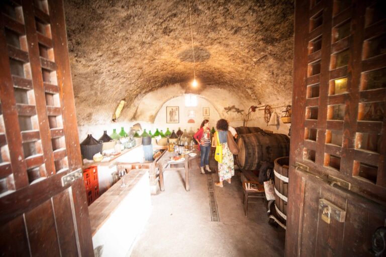 ISCHIA, TORNA “ANDAR PER CANTINE”: TOUR GUIDATI ALLA SCOPERTA DEI LUOGHI DEL VINO