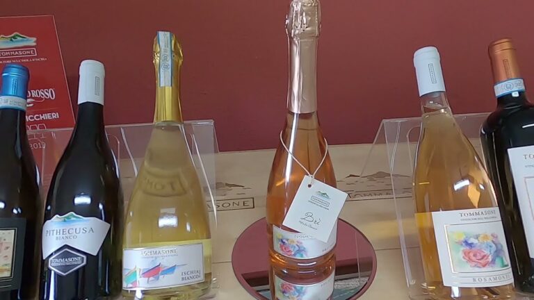 DALLA CANTINA IN COLLINA A QUELLA SOTTOMARINA: DA OGGI SPUMANTI E VINI DELLA CASA VINICOLA “TOMMASONE” INVECCHIERANNO ANCHE NEI FONDALI MARINI DELL’ISOLA D’ISCHIA