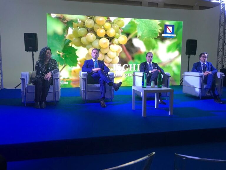 TURISMO. ASS. GIANNA GALASSO: “L’ISOLA D’ISCHIA PUÒ ESSERE DA ESEMPIO PER LA SUA DIMOSTRATA RESILIENZA”