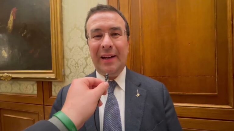 STOP AI CIBI SINTETICI E AGLI INSETTI A TAVOLA, NUOVO PROVVEDIMENTO DEL GOVERNO IN ARRIVO