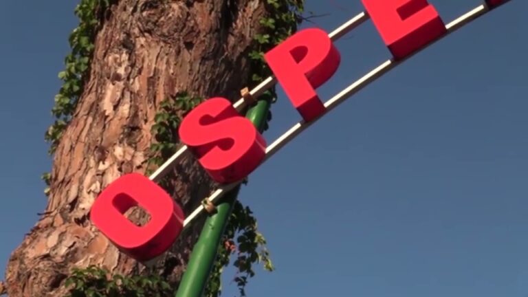 ISCHIA, L’ISOLA INFELICE: UN ANZIANO SI TOGLIE LA VITA A LACCO, UN GIOVANE PROVA A LANCIARSI AD ISCHIA. WEEKEND MOVIMENTATO PER LE FORZE DELL’ORDINE