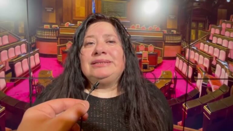 L’ARCHITETTO CATERINA IACONO SCENDE IN CAMPO: “PRONTA UNA LISTA PER LE PROSSIME ELEZIONI DI CASAMICCIOLA TERME”